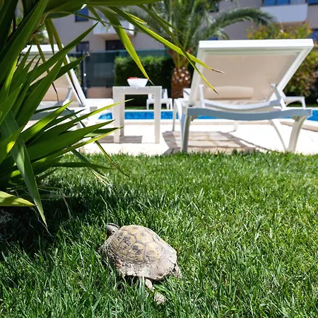 Апартаменти Sunny Garden Adria